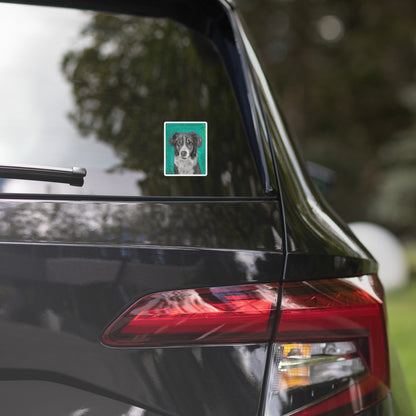 Koa - Sticker